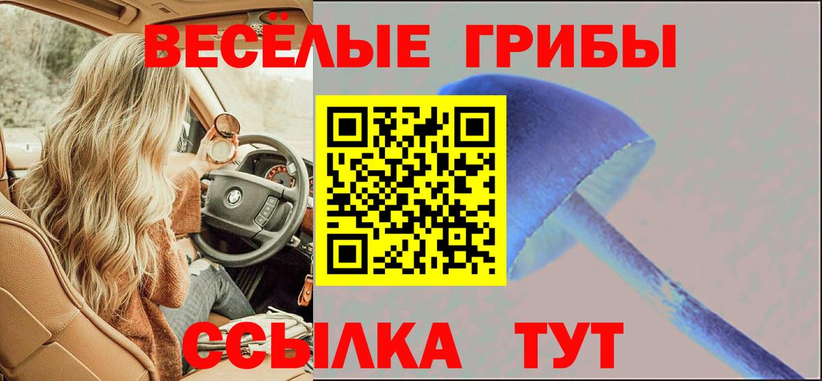 Галлюциногенные грибы MAGIC MUSHROOMS Камышлов